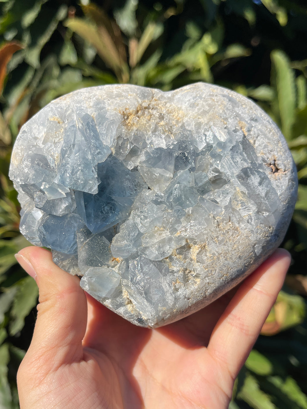 Celestite Heart Cluster Geode