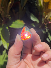 Load image into Gallery viewer, Ammolite
