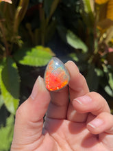 Load image into Gallery viewer, Ammolite
