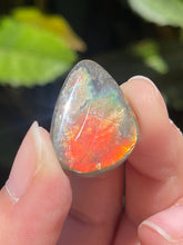 Load image into Gallery viewer, Ammolite
