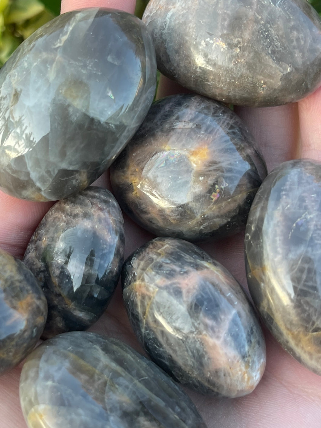 Black Moonstone Palm Stone / Tumbled