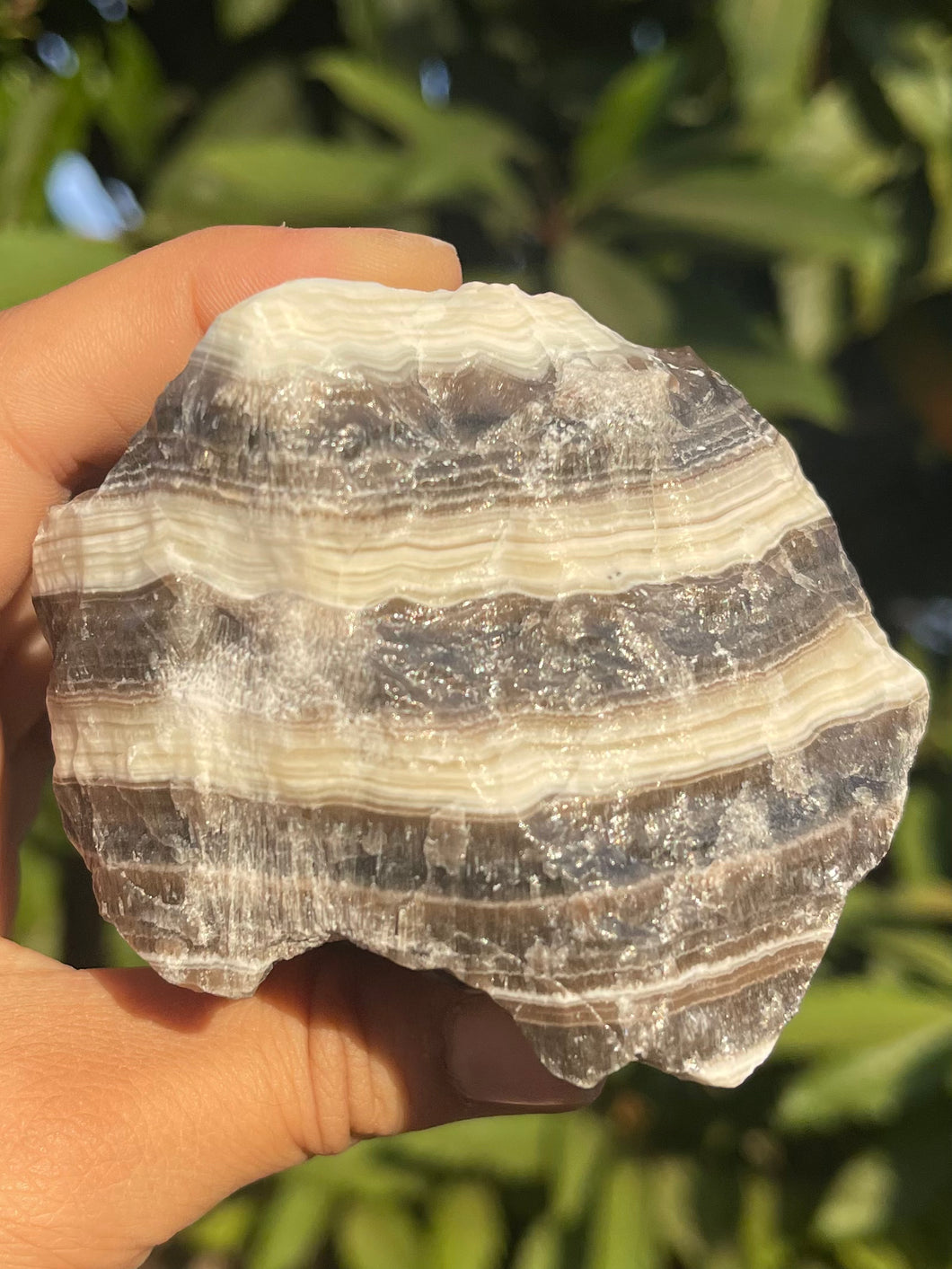 Zebra Calcite #C