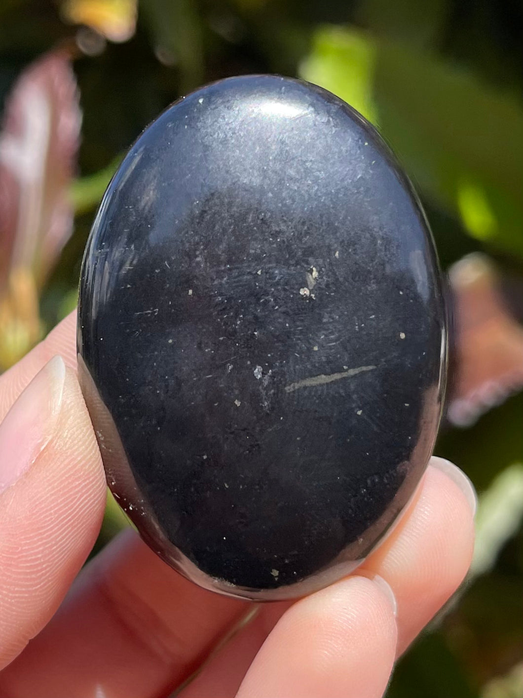 Shungite Palm Stone #B