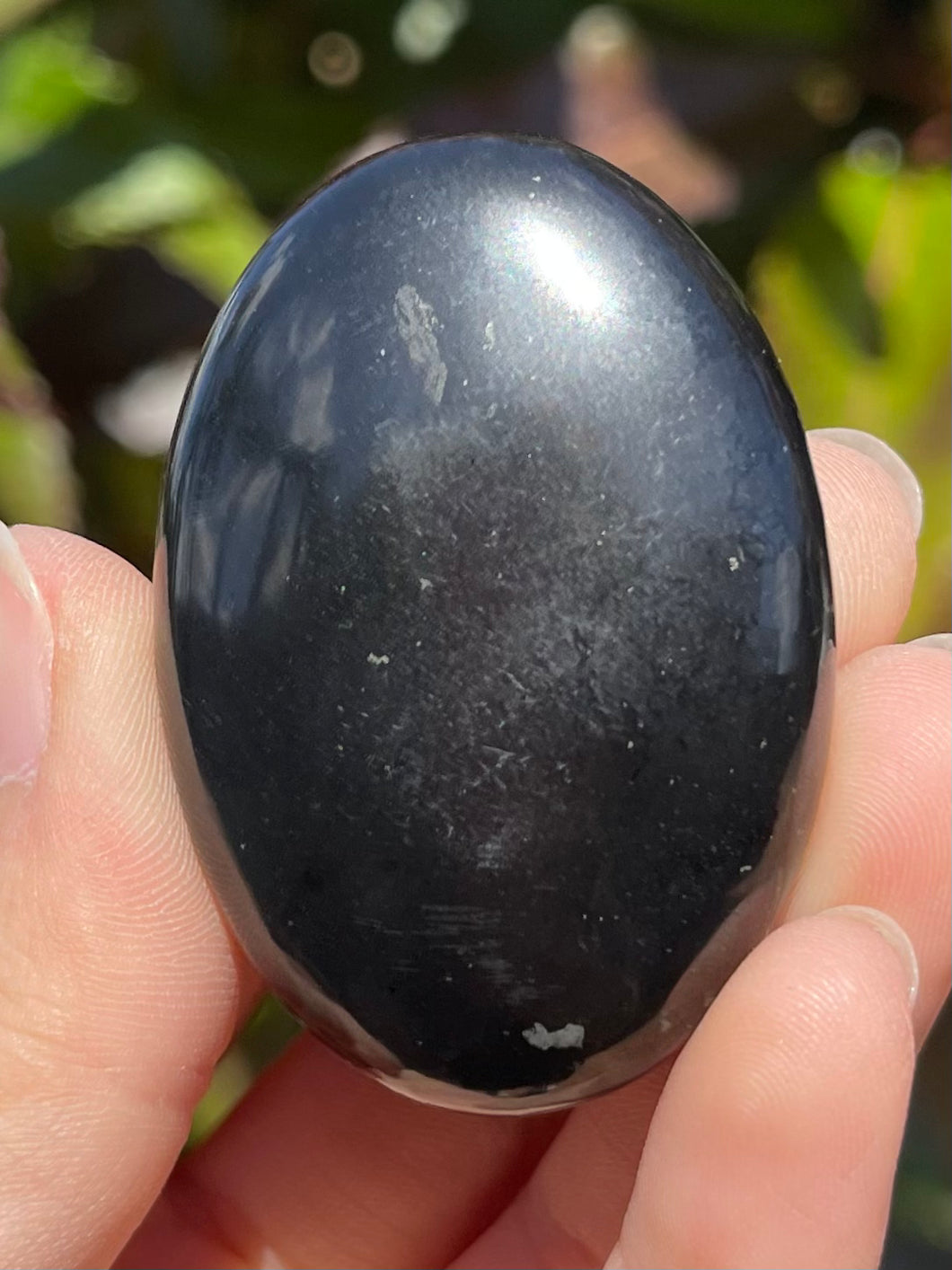 Shungite Palmstone #A