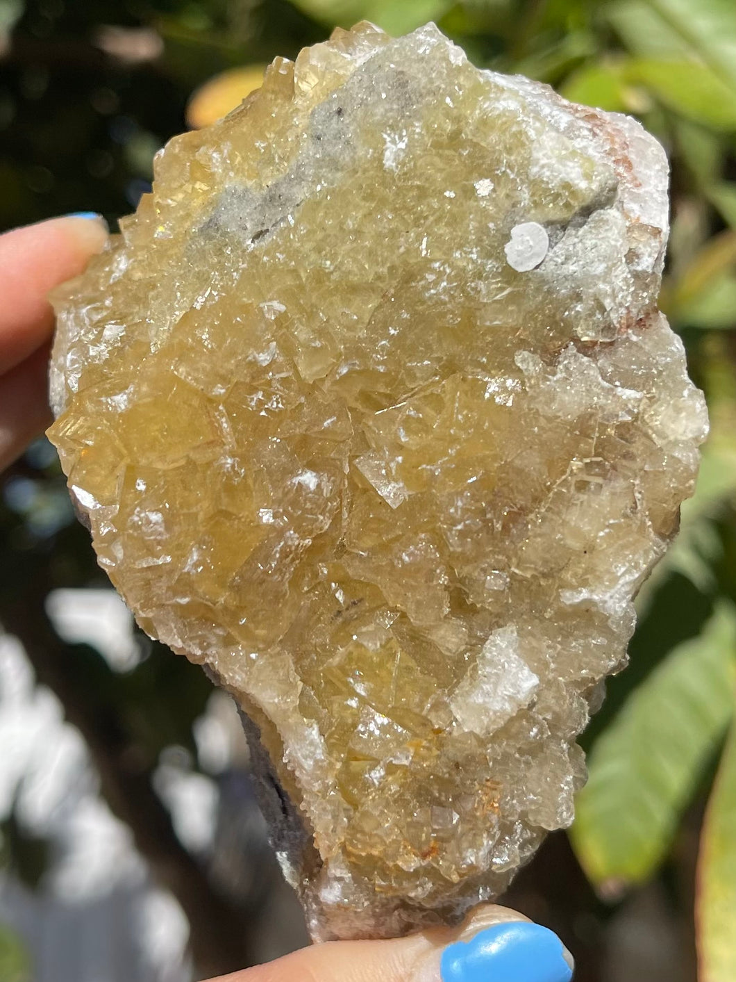 Yellow Fluorite Cluster #C