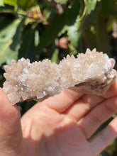 Load image into Gallery viewer, Dogtooth Calcite Flowering Crystal Cluster
