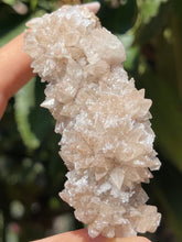 Load image into Gallery viewer, Dogtooth Calcite Flowering Crystal Cluster
