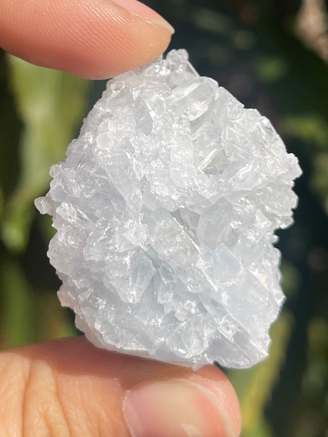 Celestite Cluster #A